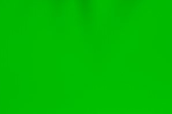 Grass Green Frosted Decorative Window Glass Film PVC Face Material